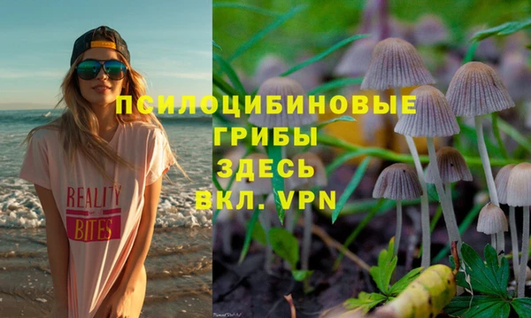 а пвп мука Армянск