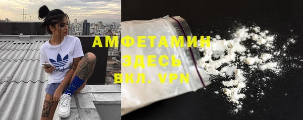 ПСИЛОЦИБИНОВЫЕ ГРИБЫ Няндома