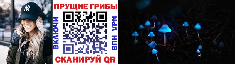 купить наркотики цена  Окуловка  Псилоцибиновые грибы MAGIC MUSHROOMS 